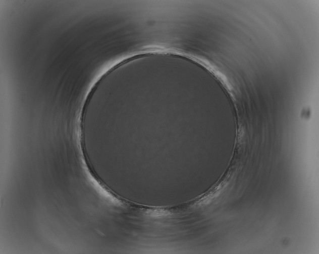 X0000093751239200711061040