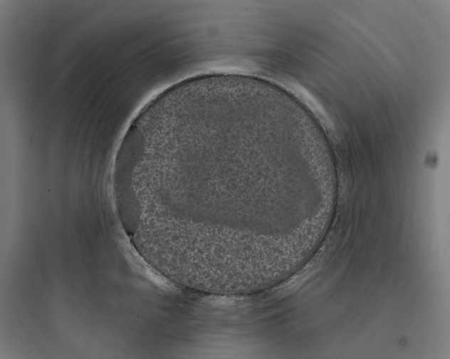 X0000093751240200711061040