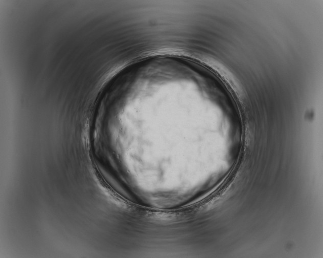 X0000093751241200711061040