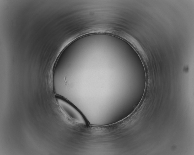 X0000093751242200711061041