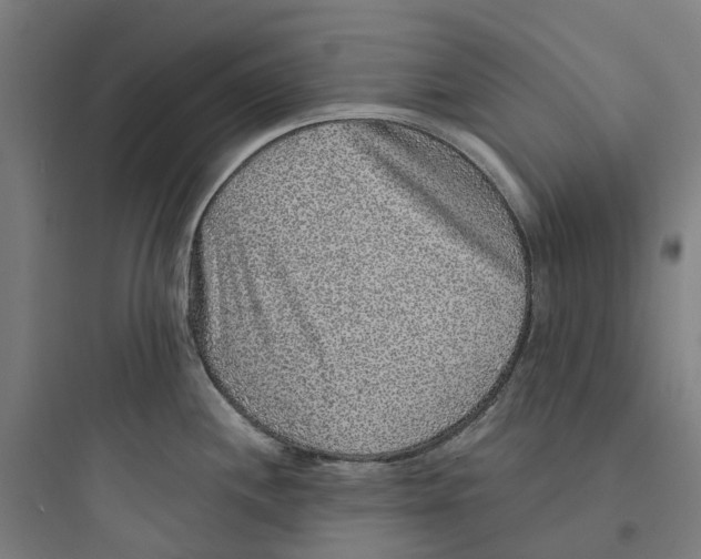 X0000093751244200711061041