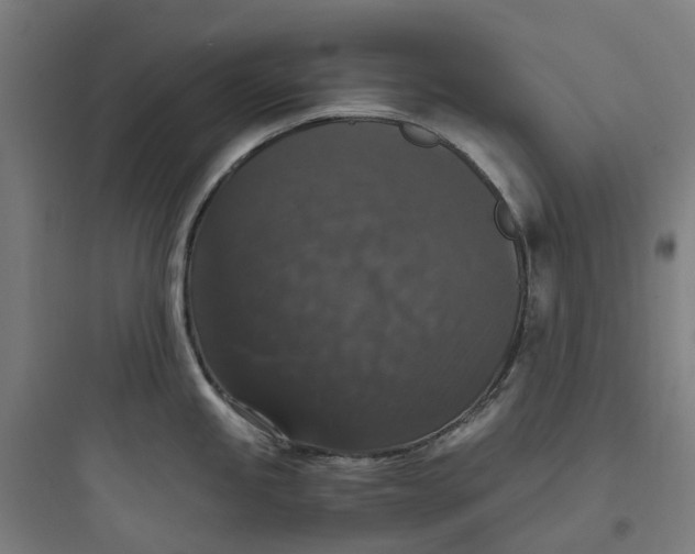 X0000093751245200711061041
