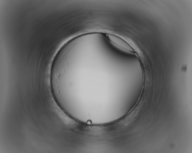 X0000093751246200711061041
