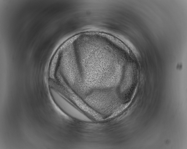 X0000093751247200711061041