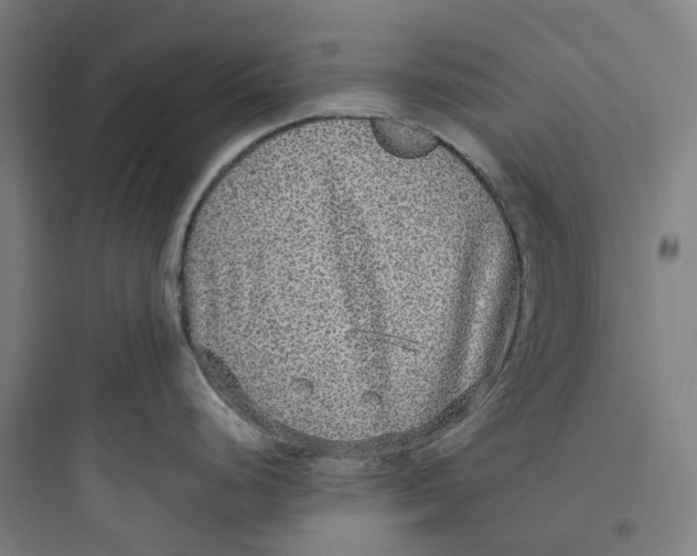 X0000093751248200711061041
