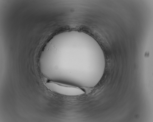 X0000093751249200711061040