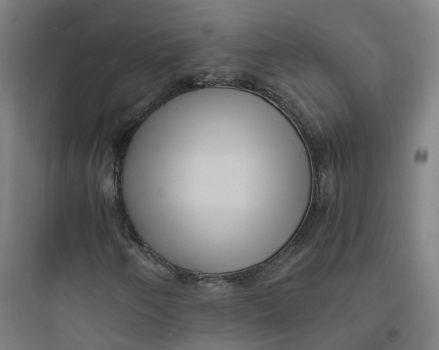 X0000093751250200711061040