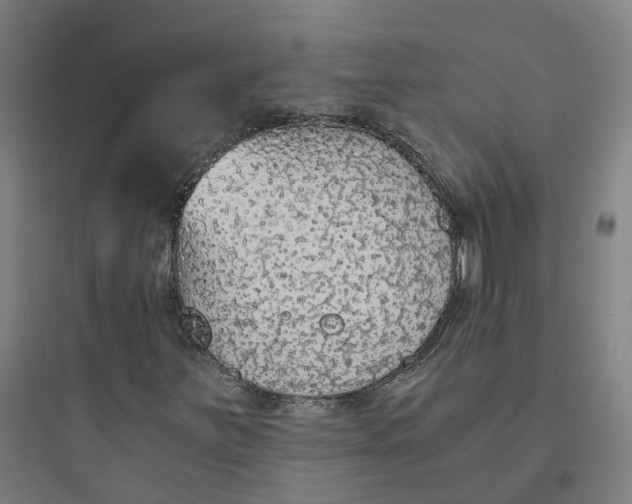 X0000093751251200711061040