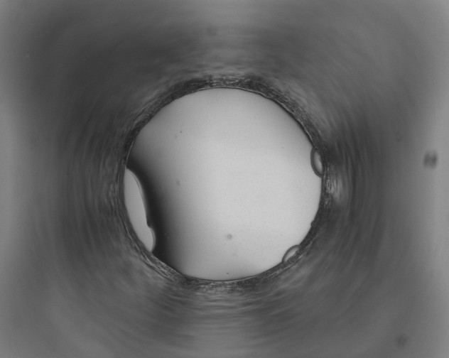 X0000093751252200711061040