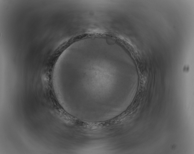 X0000093751254200711061040