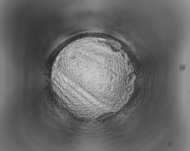 X0000093751255200711061040