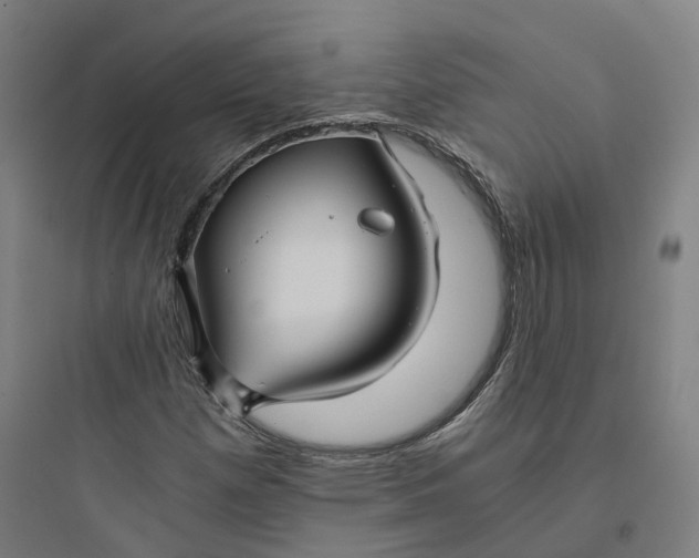 X0000093751257200711061040