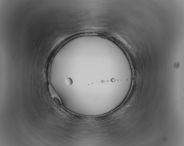 X0000093751259200711061040