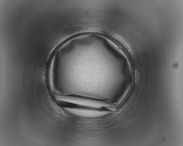 X0000093751260200711061040