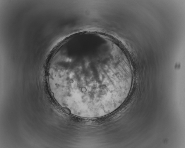 X0000093751263200711061040