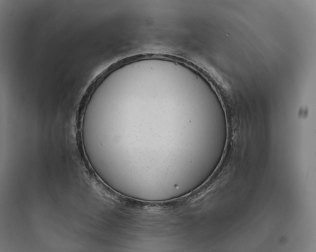 X0000093751264200711061040
