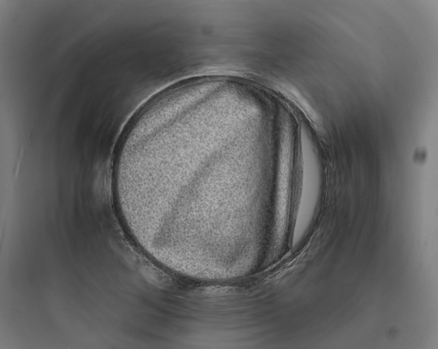 X0000093751268200711061040