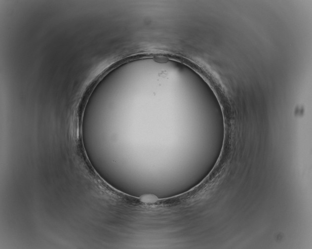 X0000093751269200711061040