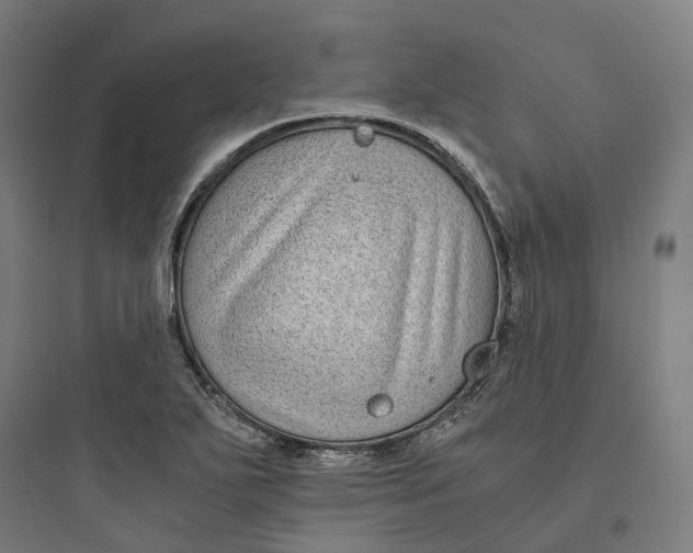 X0000093751271200711061040