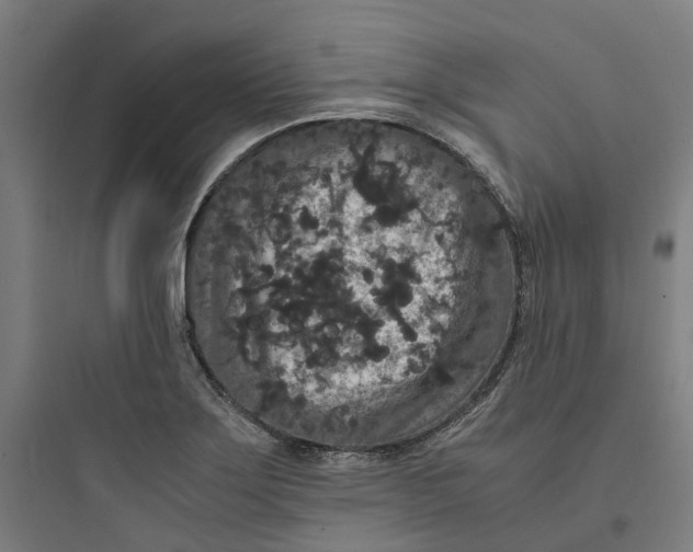 X0000093751275200711061040