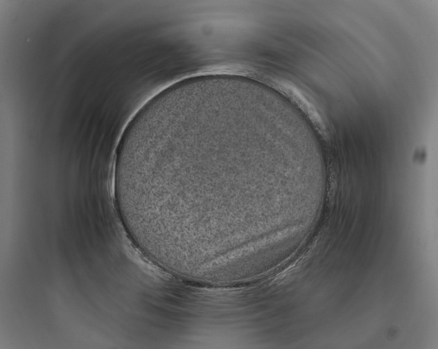 X0000093751276200711061040