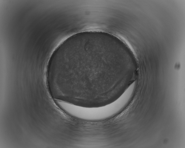 X0000093751277200711061040