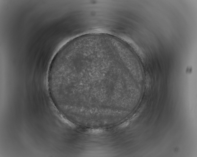 X0000093751278200711061040