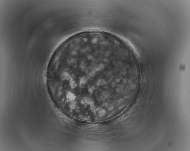 X0000093751279200711061039