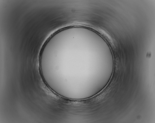 X0000093751280200711061039