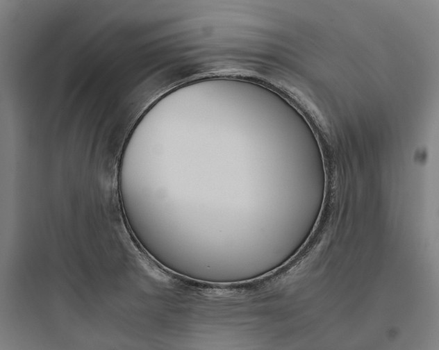 X0000093751281200711061039