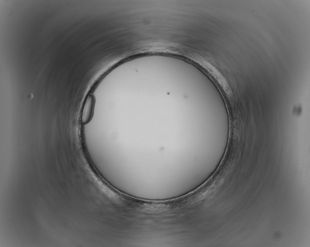 X0000093751285200711061039