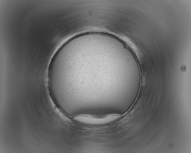 X0000093751287200711061039