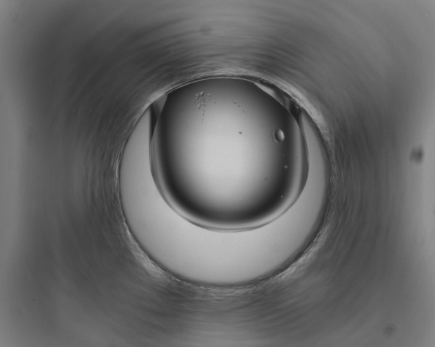 X0000093751289200711061039