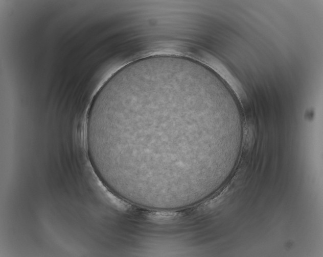 X0000093751290200711061039