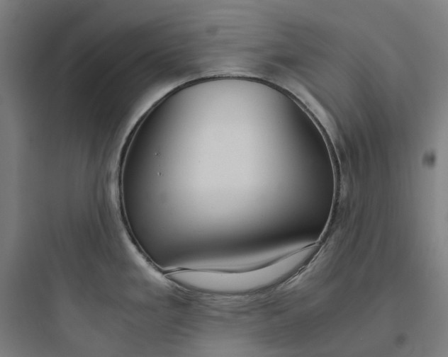 X0000093751293200711061039