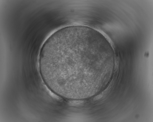 X0000093751294200711061039