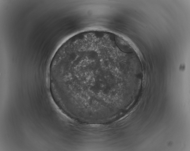 X0000093751295200711061039