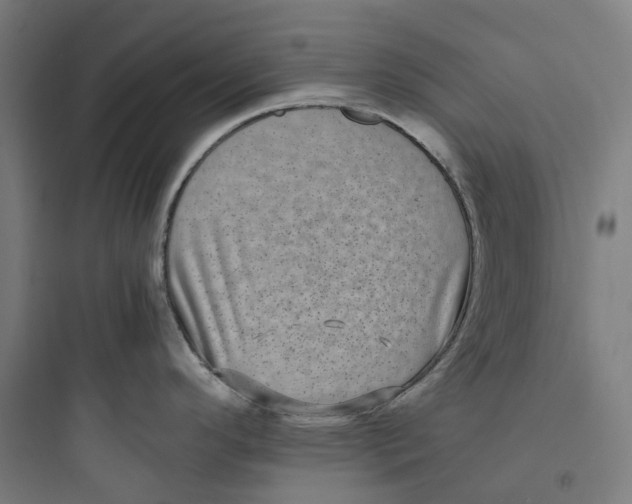 X0000093751296200711061039