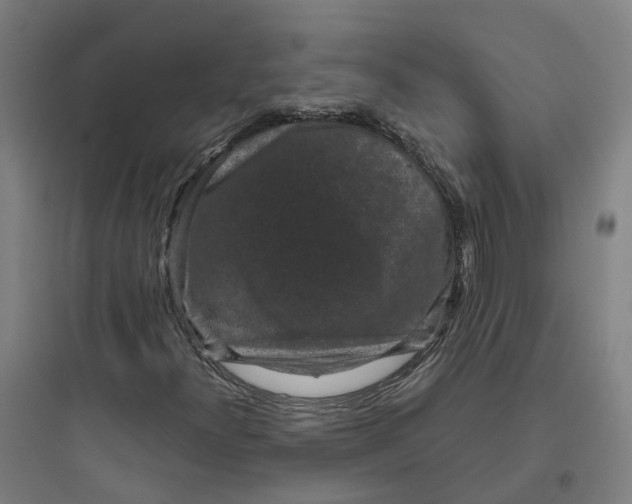 X0000093751300200711061038