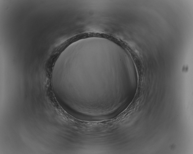 X0000093751303200711061039