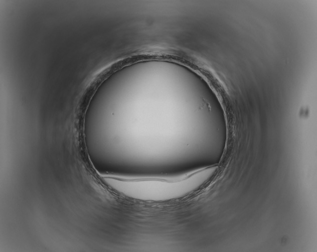 X0000093751304200711061039