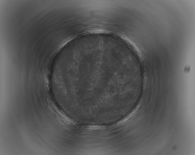 X0000093751305200711061039