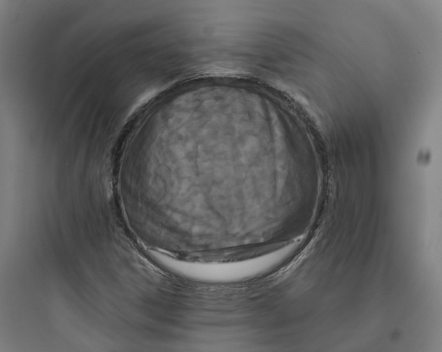 X0000093751306200711061039