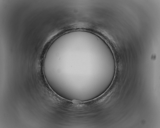 X0000093751309200711061039