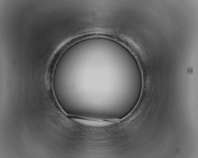 X0000093751310200711061039