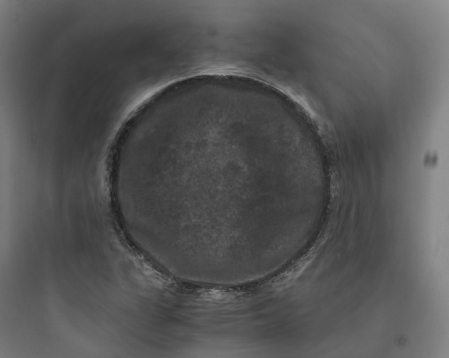 X0000093751311200711061039