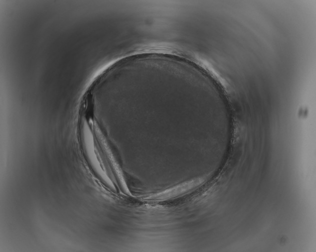 X0000093751312200711061039