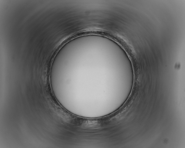 X0000093751313200711061039