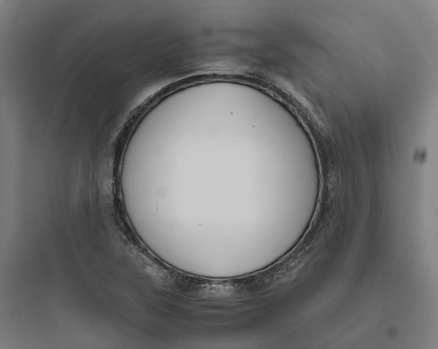 X0000093751315200711061039