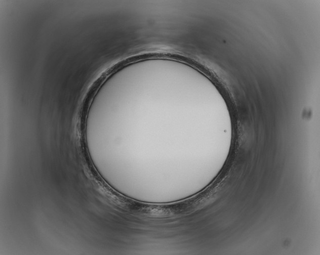 X0000093751318200711061039